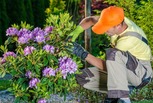 Gardeners Canonbury maintaining a stylish London garden
