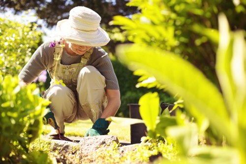 Lawn care in Canonbury with a neat green garden lawn
