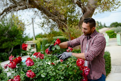 Low-carbon van used for sustainable garden collections