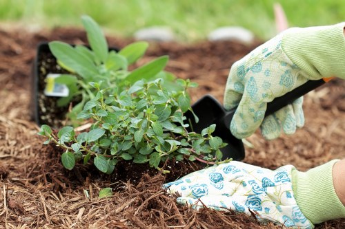 Seasonal garden maintenance in Canonbury for urban outdoor spaces