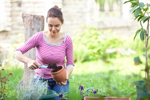 Seasonal lawn mowing in a Canonbury outdoor space