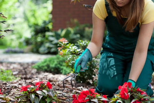 Seasonal lawn maintenance in Canonbury residential gardens