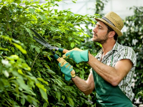 Protective PPE used during professional gardening work