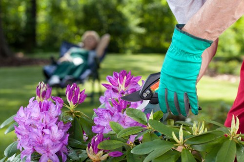 Gardeners Canonbury providing detailed care for a healthy outdoor space