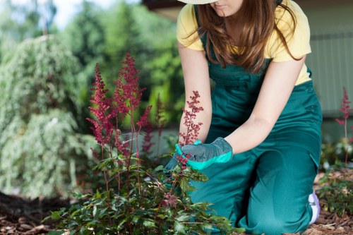 Supplier audit and due diligence process for ethical sourcing