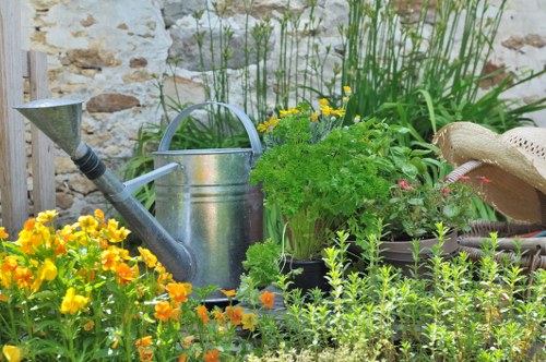 Garden maintenance in a Canonbury residential property