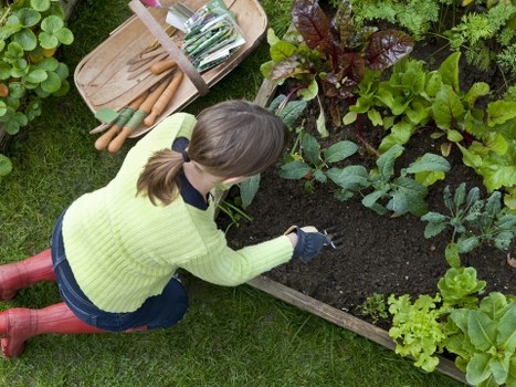 Seasonal garden care by Gardeners in Canonbury