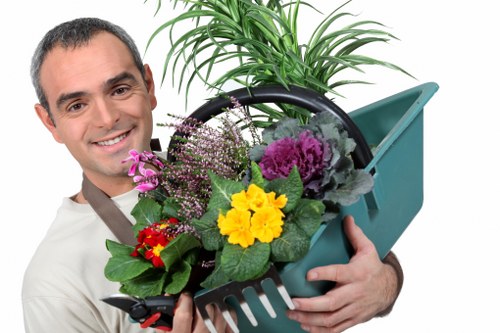 Professional lawn care and planting in Canonbury