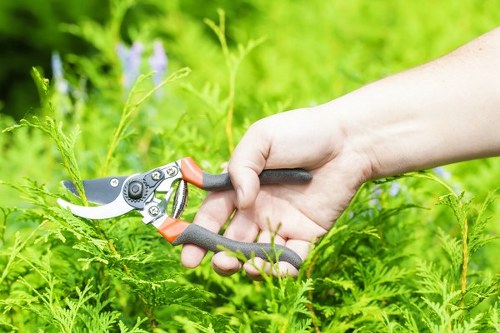 Free quote policy for Gardeners Canonbury services