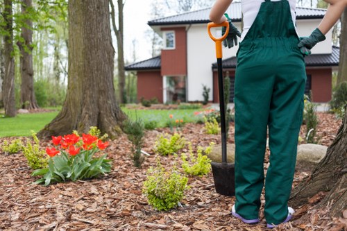 Seasonal planting scheme for landscape gardening in Canonbury