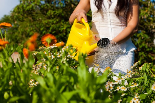 Healthy grass treatment and mowing for Canonbury lawns