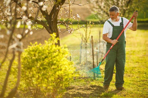 Experienced Canonbury gardeners shaping a neat and balanced garden