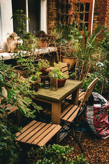 What to know about emergency garden clearance in Canonbury